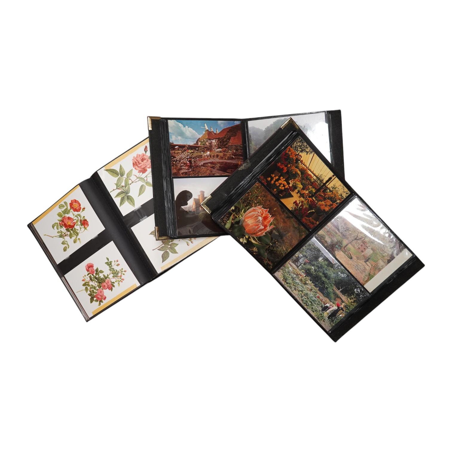 A quantity of various post cards arranged in three albums to include botanical interest. Condition - fair